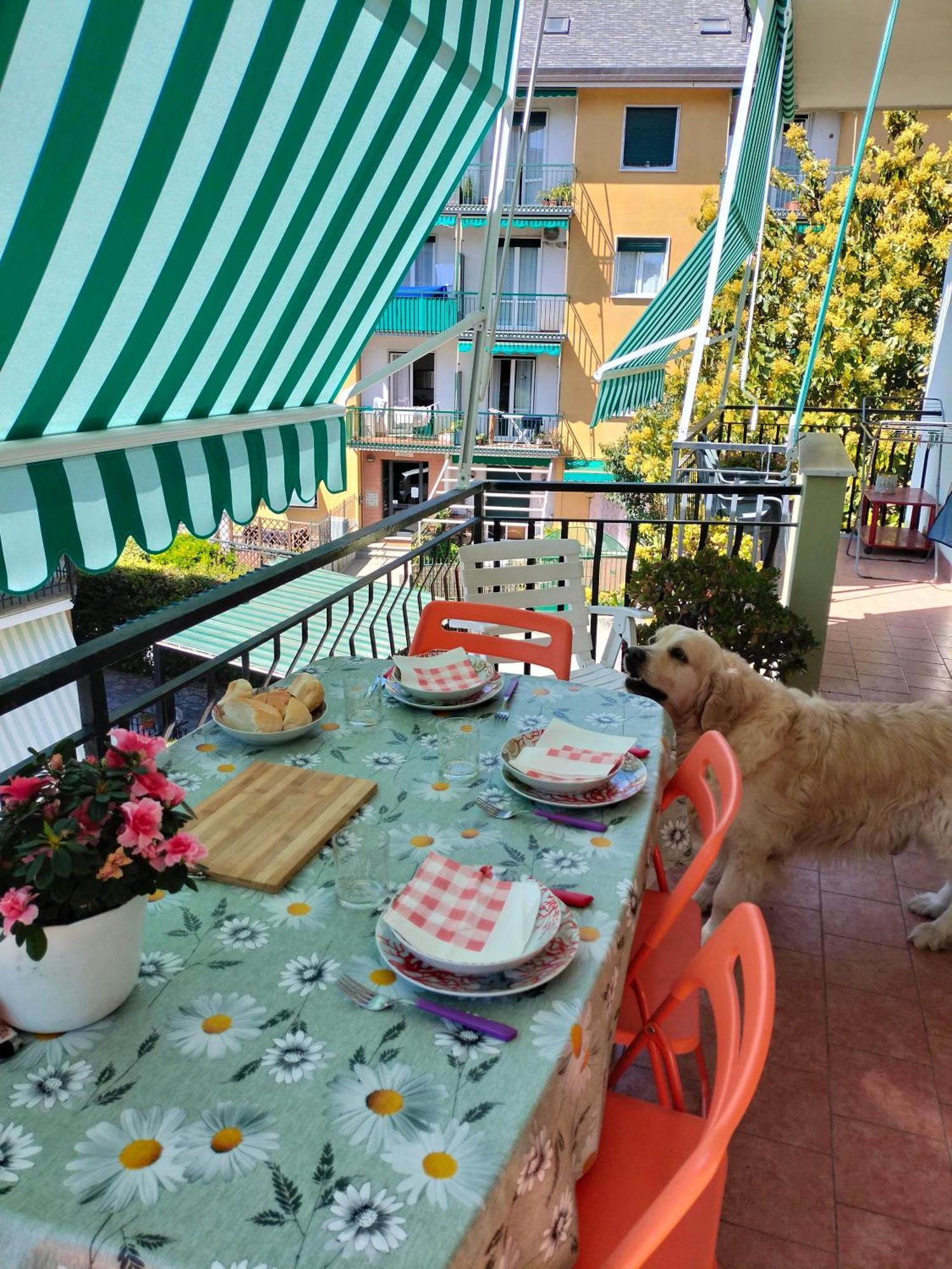 Yellow Submarine Freeparking Petfriendly Rapallo Exteriör bild